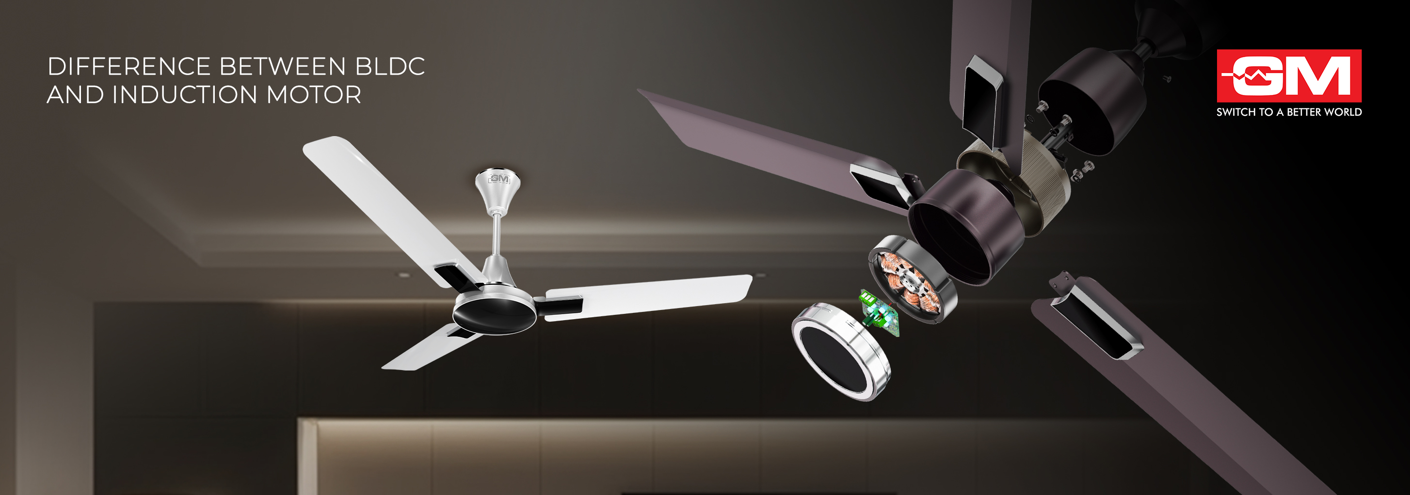 Difference Between BLDC and Induction Motor