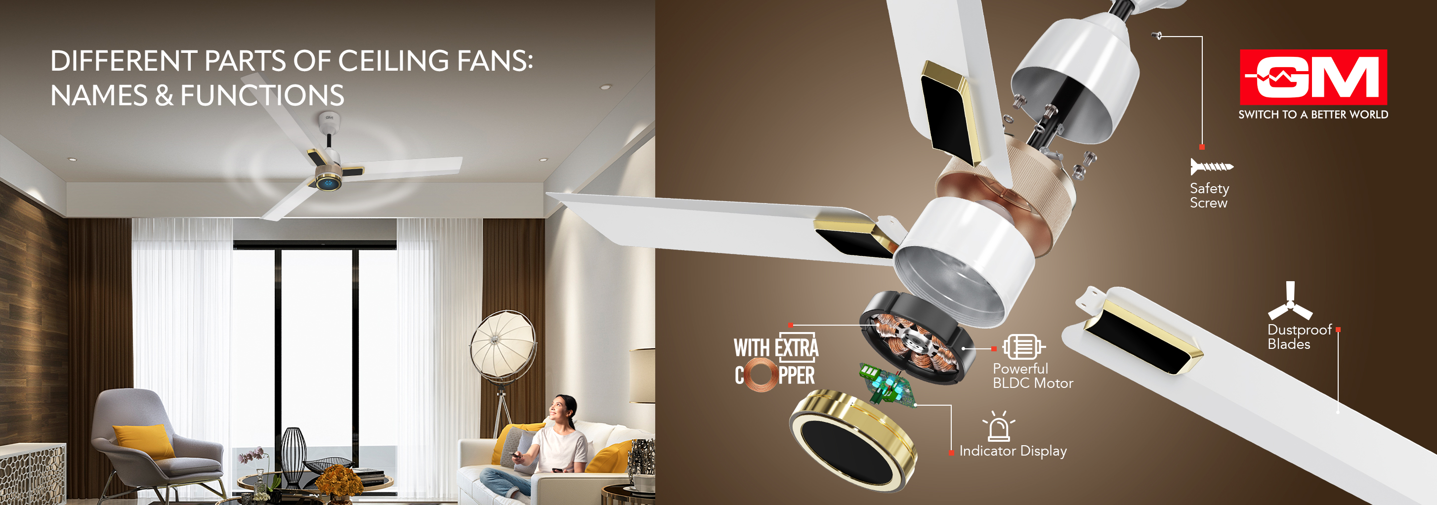 Different Parts of Ceiling Fans: Names & Functions