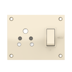 6A Switch Socket Combined